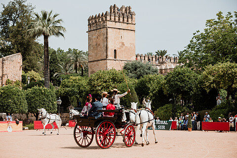 IX EXHIBICIÓN CARRUAJES DE TRADICIÓN DE CORDOBA